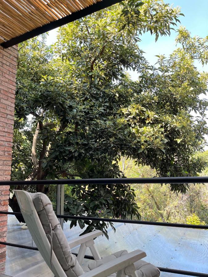 Mi Refugio San Angel Villa Мексико Сити Екстериор снимка