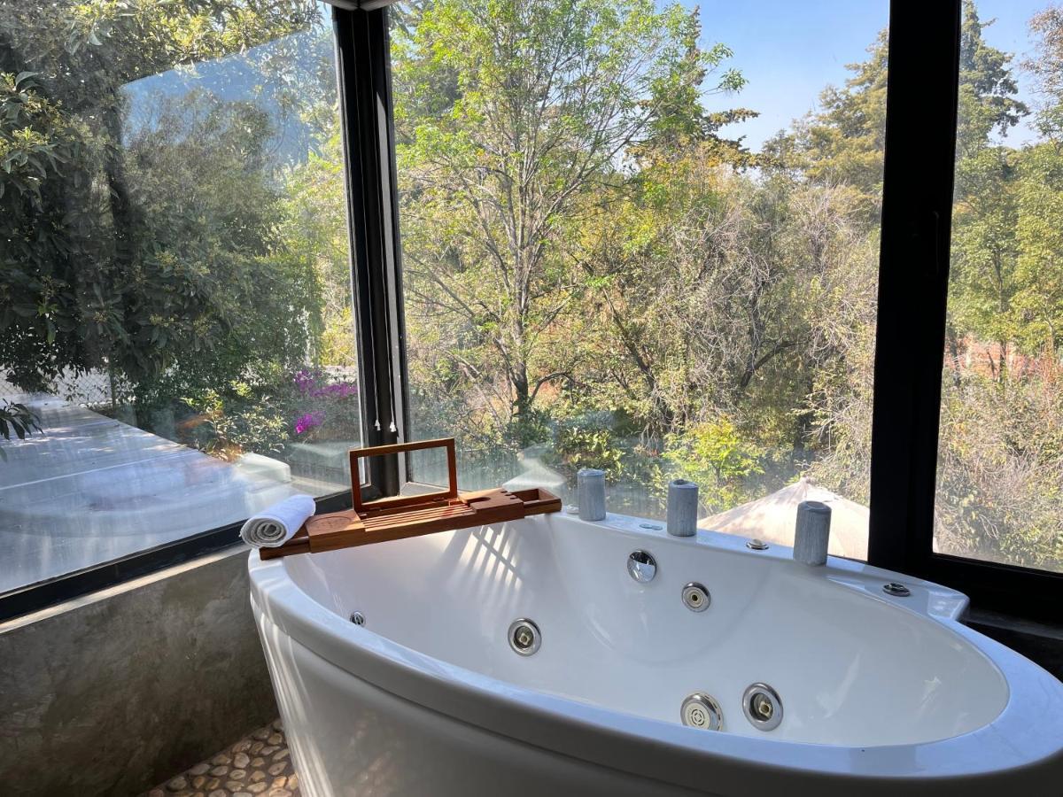 Mi Refugio San Angel Villa Мексико Сити Екстериор снимка
