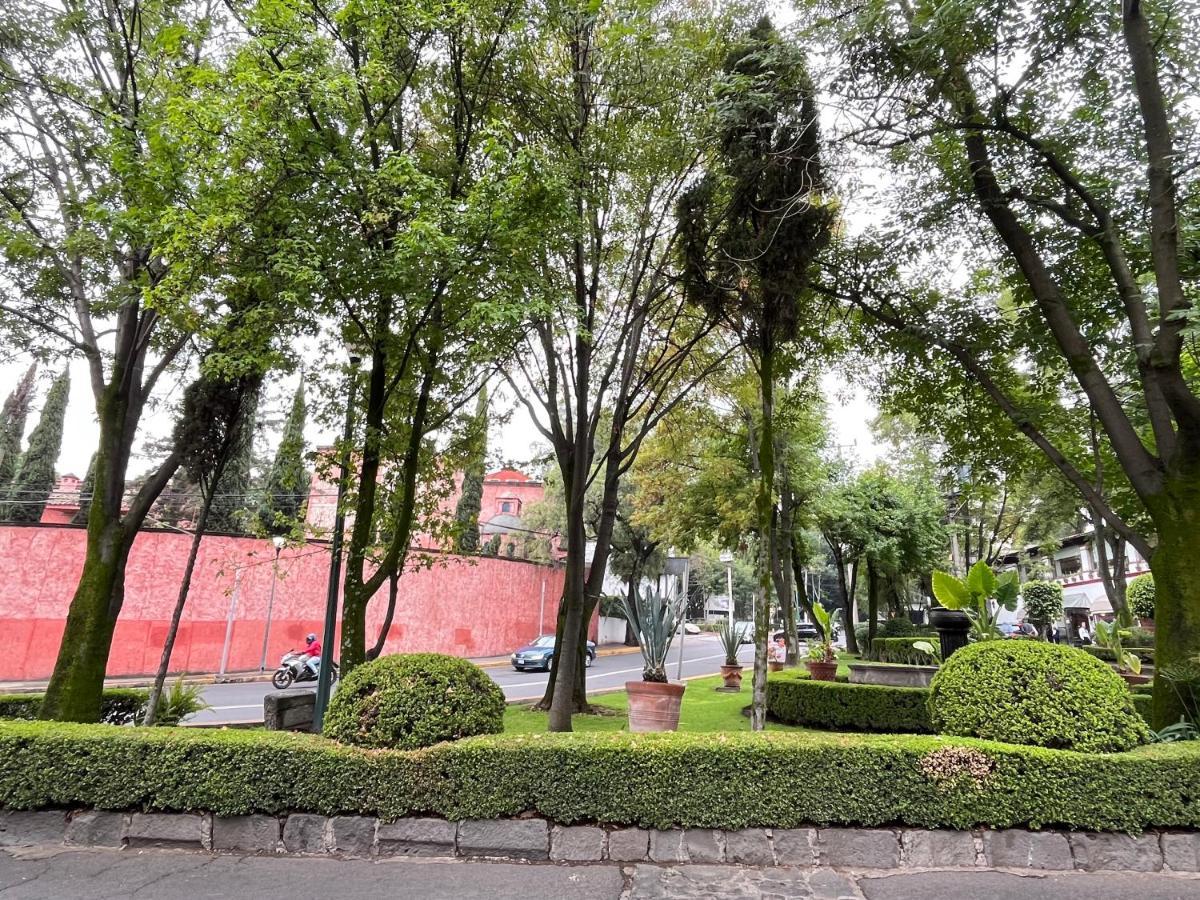 Mi Refugio San Angel Villa Мексико Сити Екстериор снимка